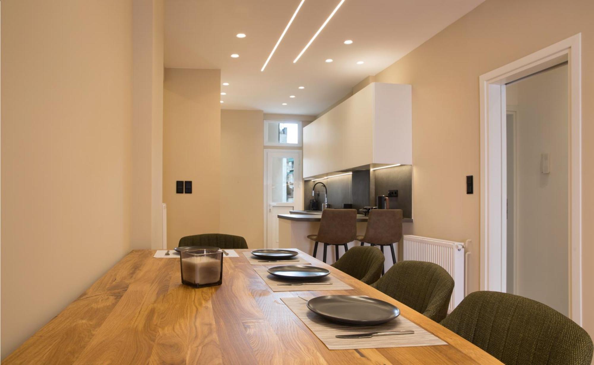 אתונה Urban Spacious Apartment Near Kallimarmaron מראה חיצוני תמונה